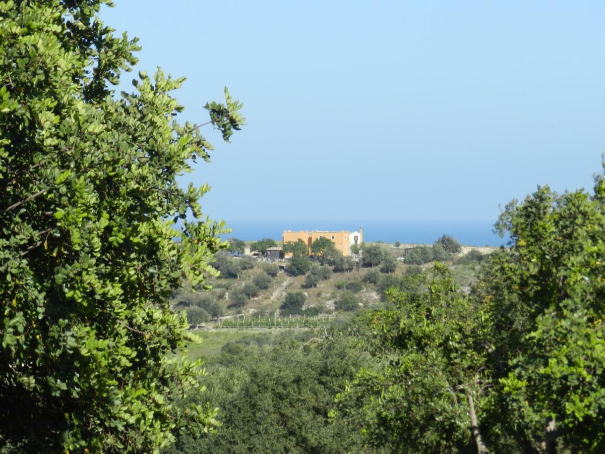 Villa Zammarra Casa Maccari Extérieur photo